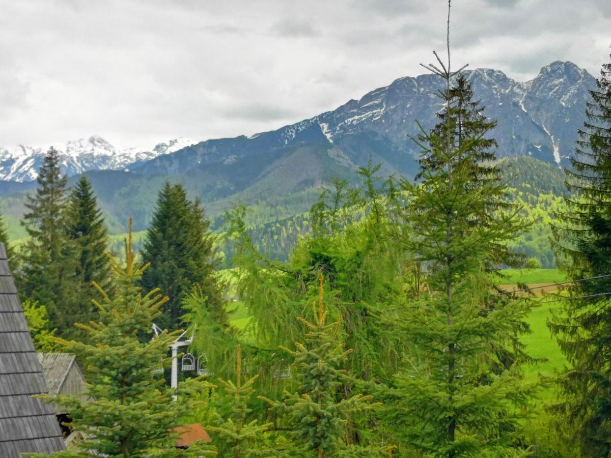 Domek Nad Potokiem W Gorach Кошелско Екстериор снимка