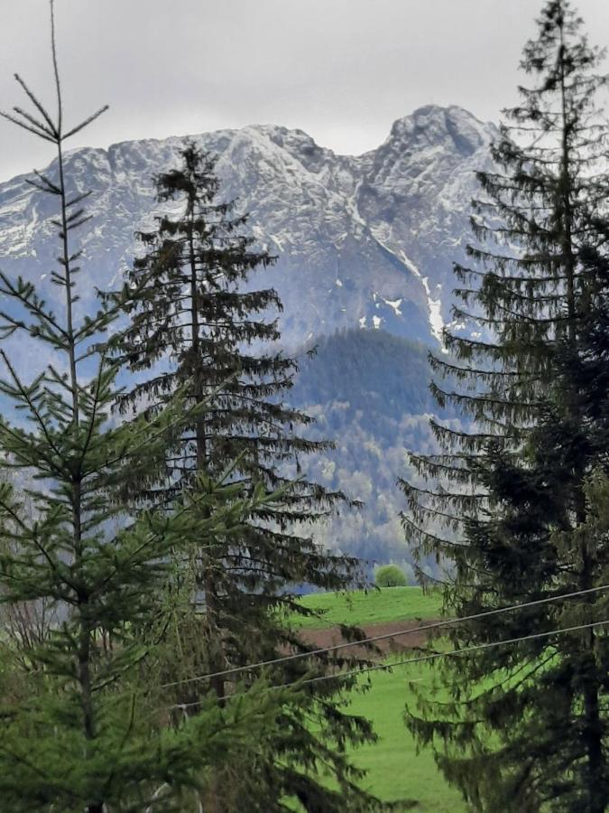 Domek Nad Potokiem W Gorach Кошелско Екстериор снимка
